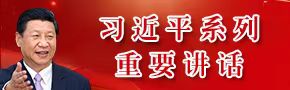 习近平系列重要讲话