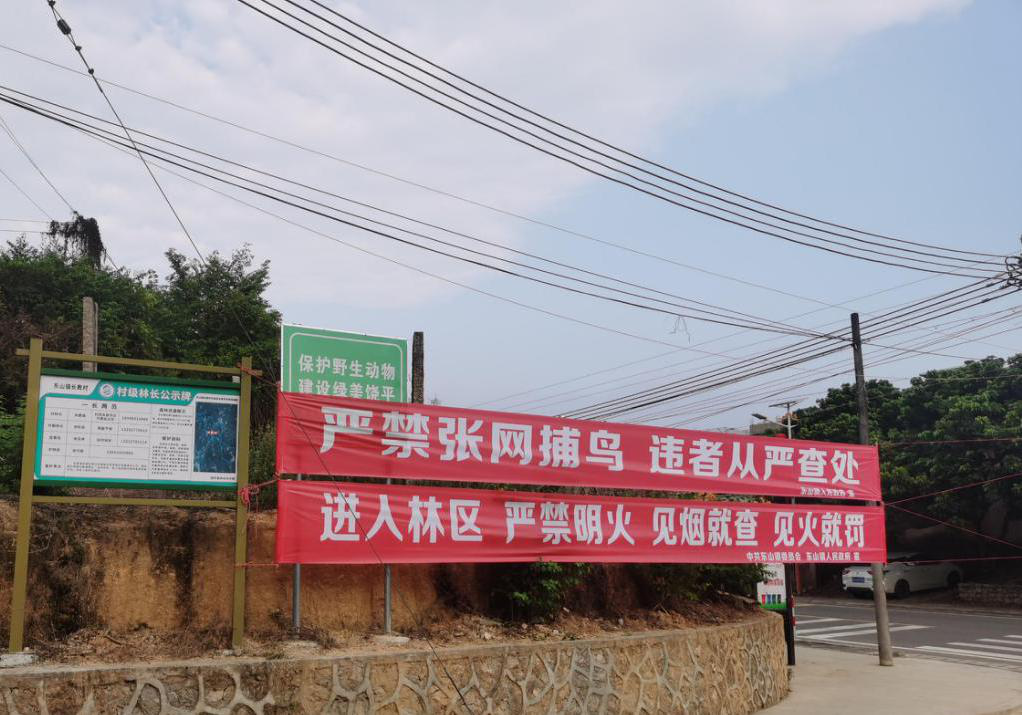图片8.png
